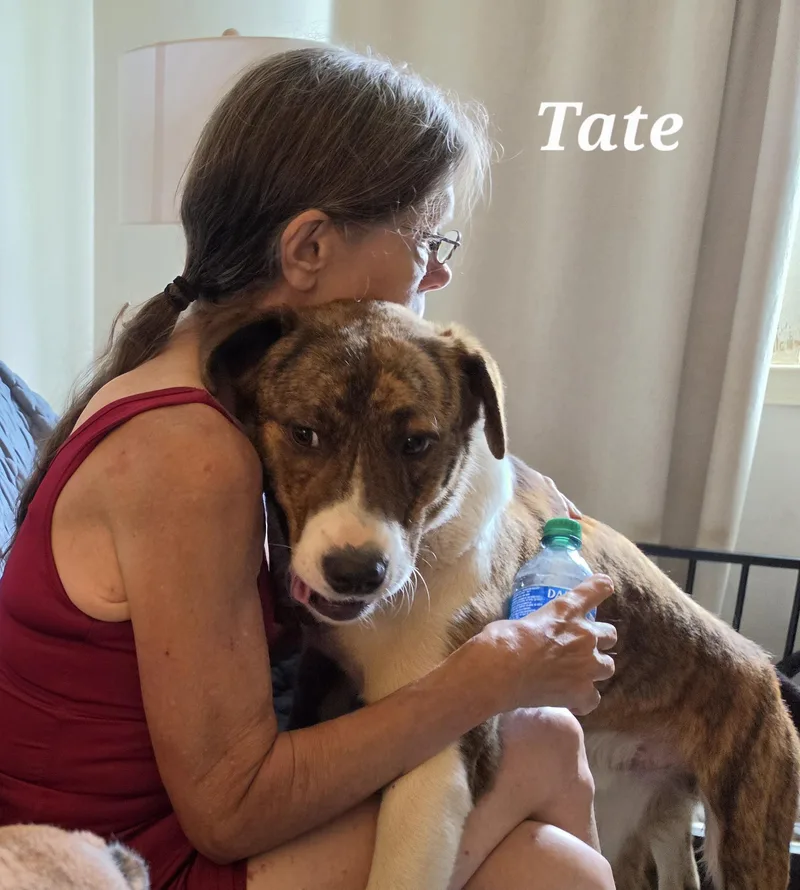Tate thumbnail 4
