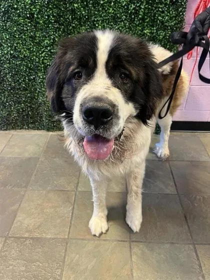 60709940 thumbnail 2