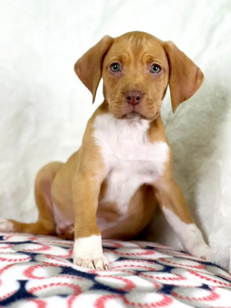 Sandlot Litter  Squints thumbnail 4