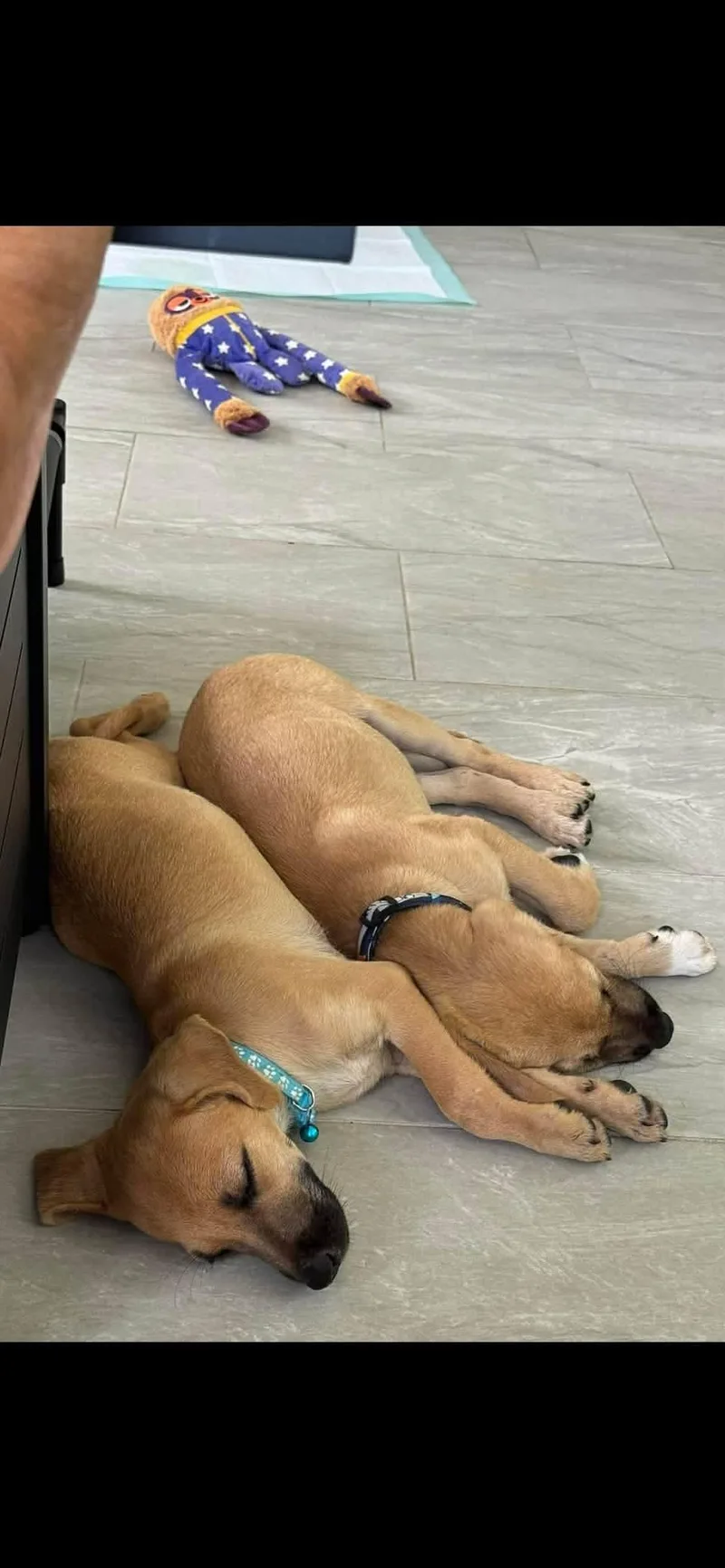 Star thumbnail 2