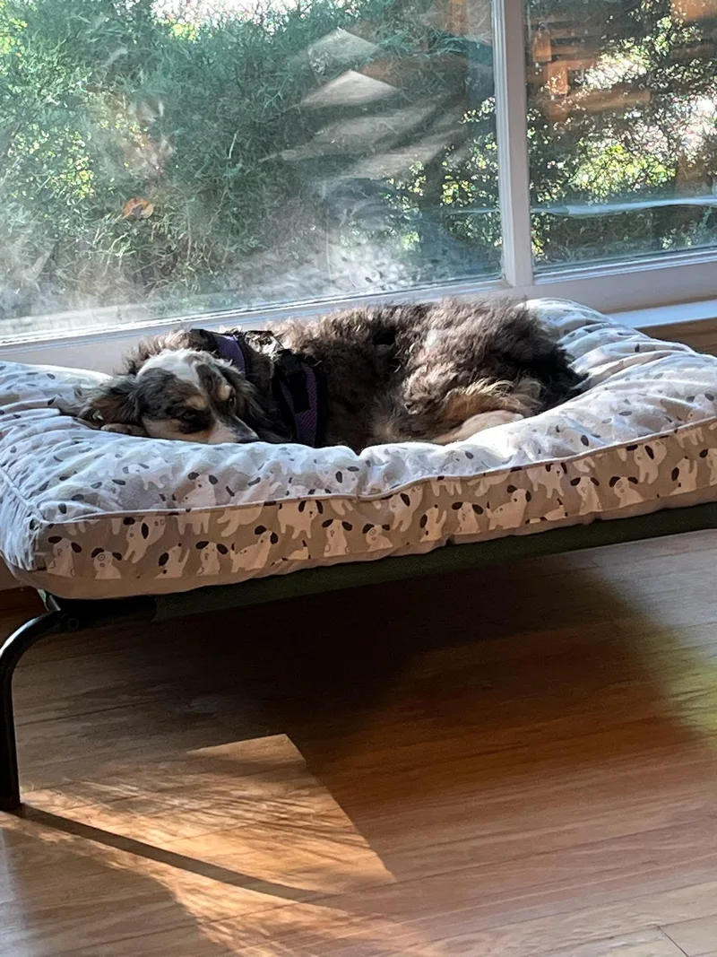 Nadine thumbnail 3