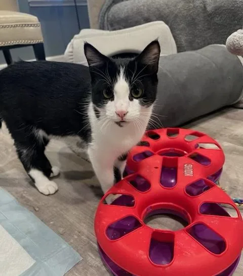 Leo  Frankie And thumbnail 6