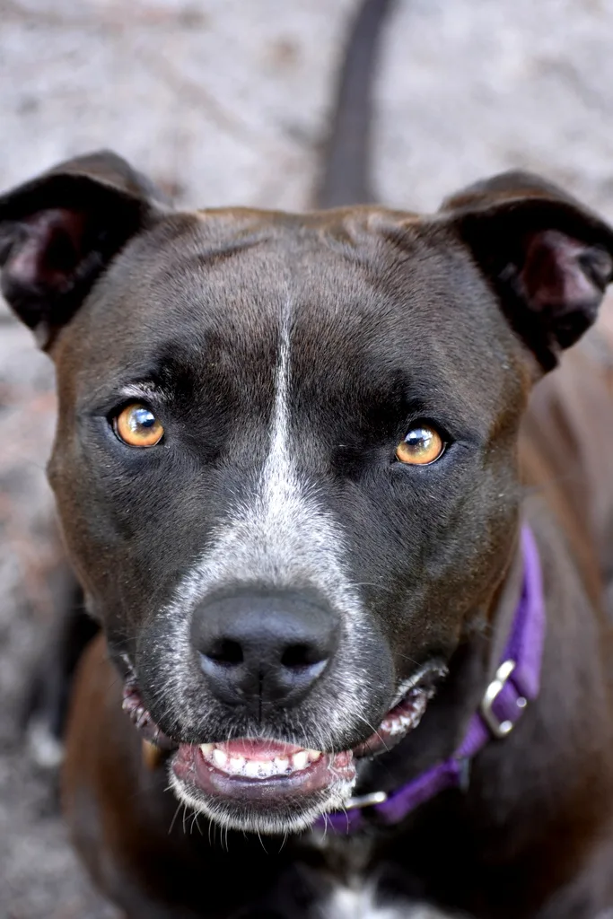 Wendy thumbnail 5