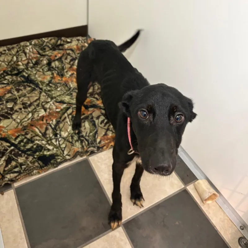 Penelope Cruz thumbnail 2