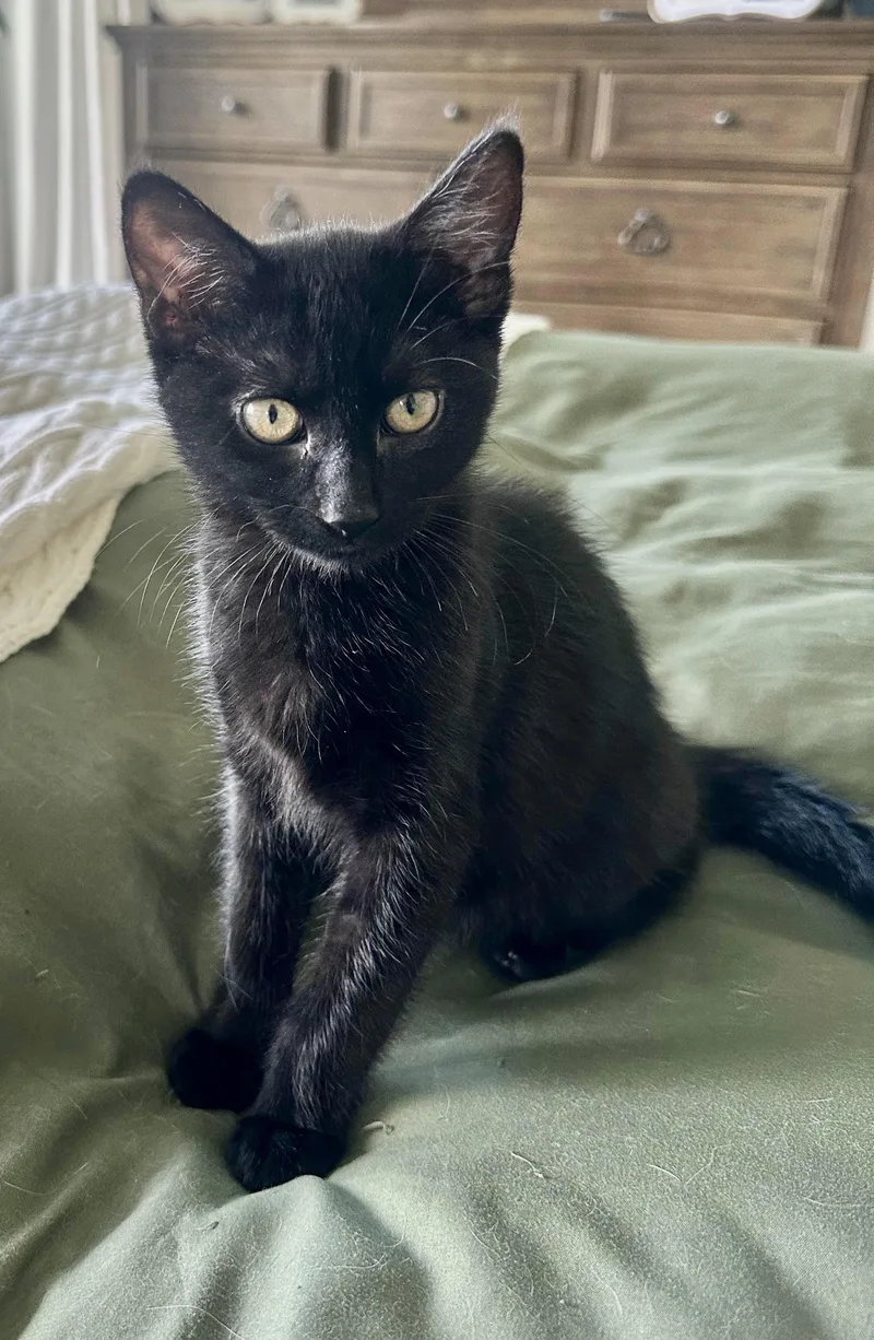 Lightning thumbnail 2