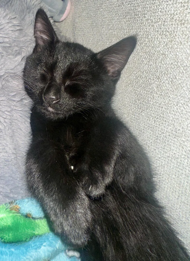 Lightning thumbnail 3