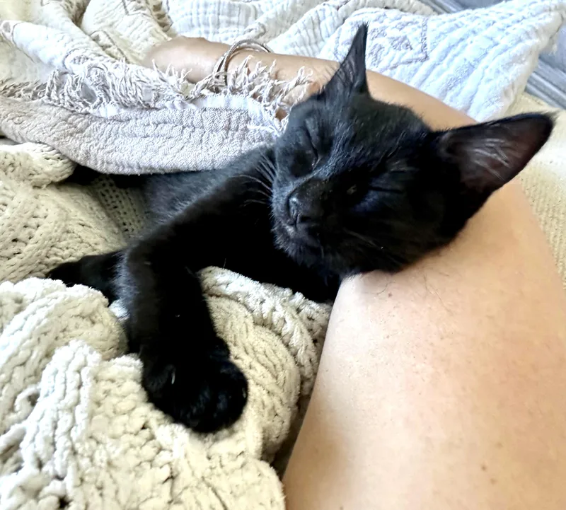 Lightning thumbnail 4