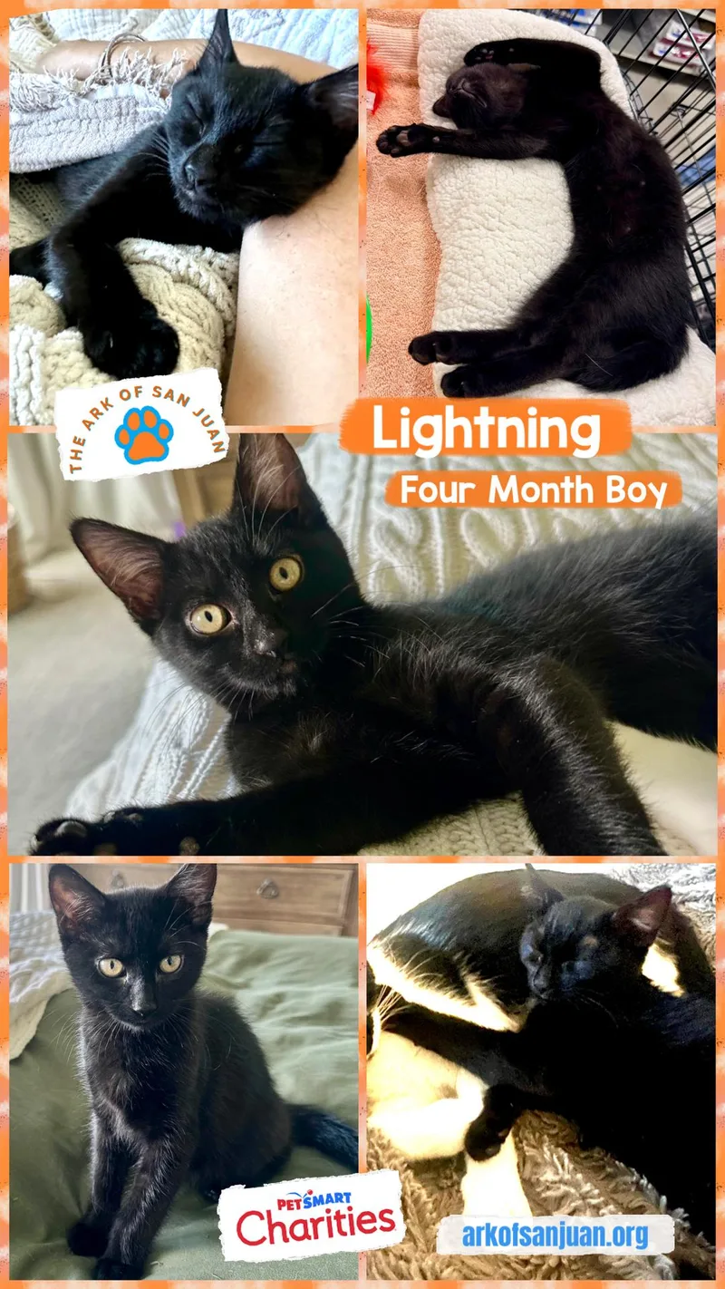 Lightning thumbnail 6