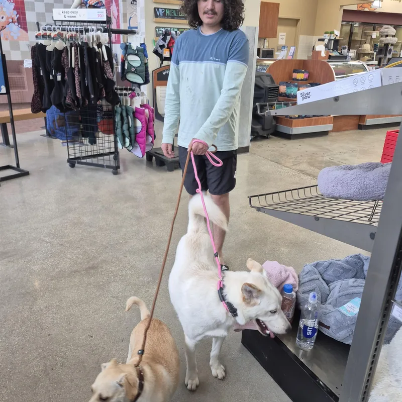 Frosty The Snowman Eskimo thumbnail 2