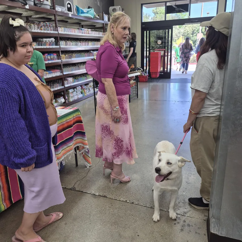 Frosty The Snowman Eskimo thumbnail 3