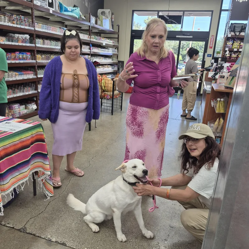 Frosty The Snowman Eskimo thumbnail 5