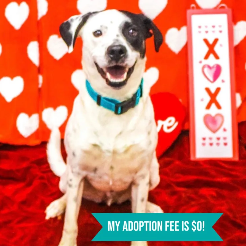 Garrison thumbnail 3