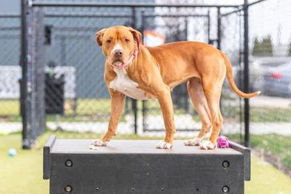 Auntie Anne thumbnail 2