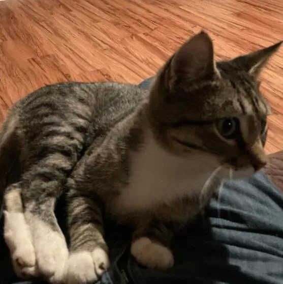 Jace & Jax thumbnail 4