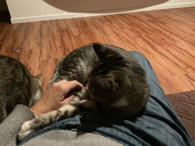 Jace & Jax thumbnail 6