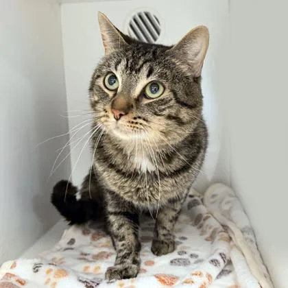 John Mcclane thumbnail 2