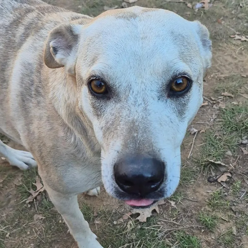 Cassiejo thumbnail 2