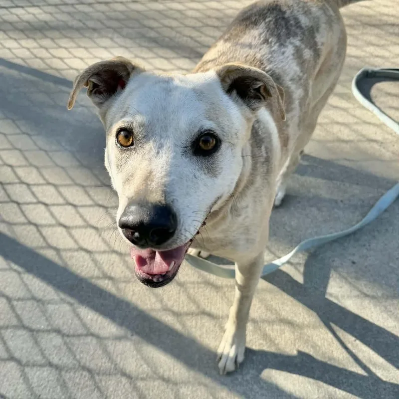 Cassiejo thumbnail 3