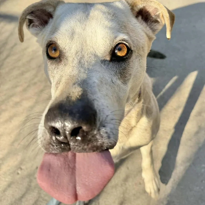 Cassiejo thumbnail 4