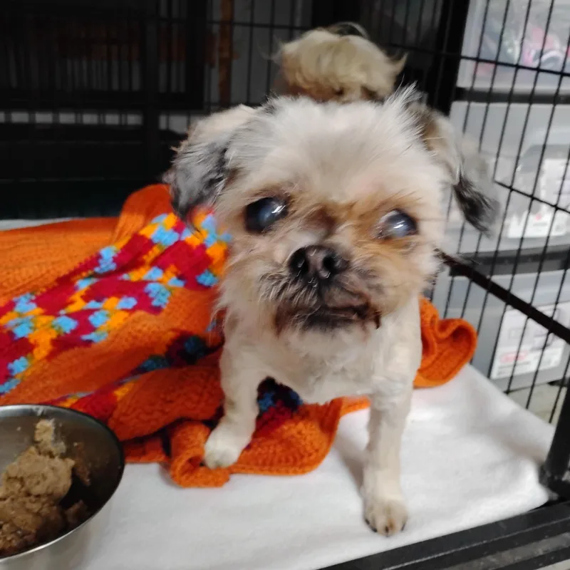 Winnie thumbnail 2