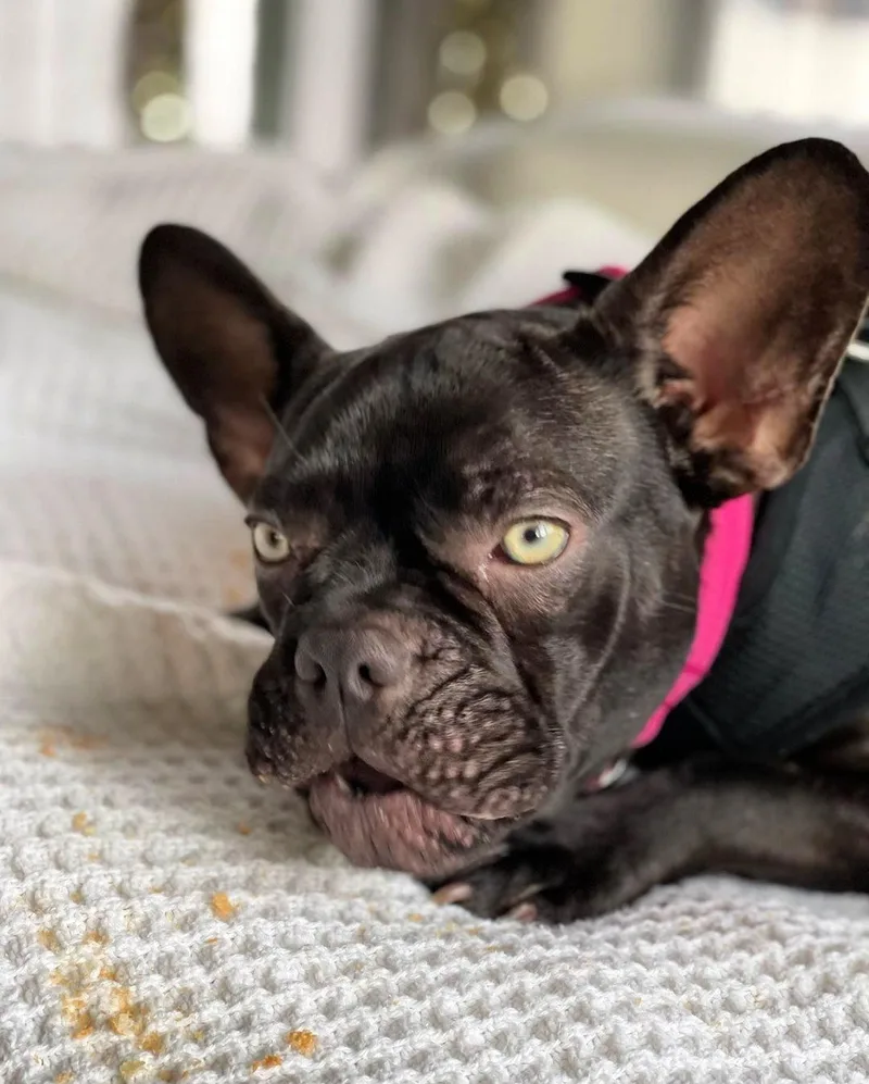 Emmy Loves To Cuddle thumbnail 4