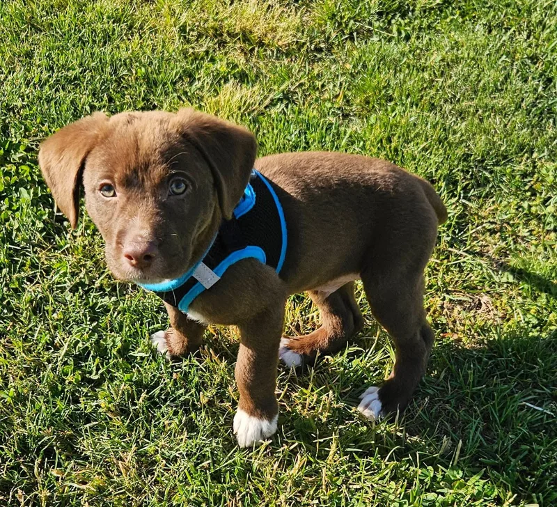 Tucker