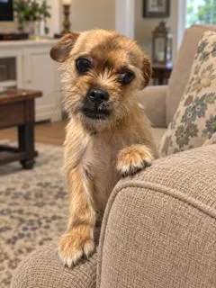 Murray