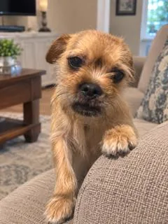 Murray thumbnail 3