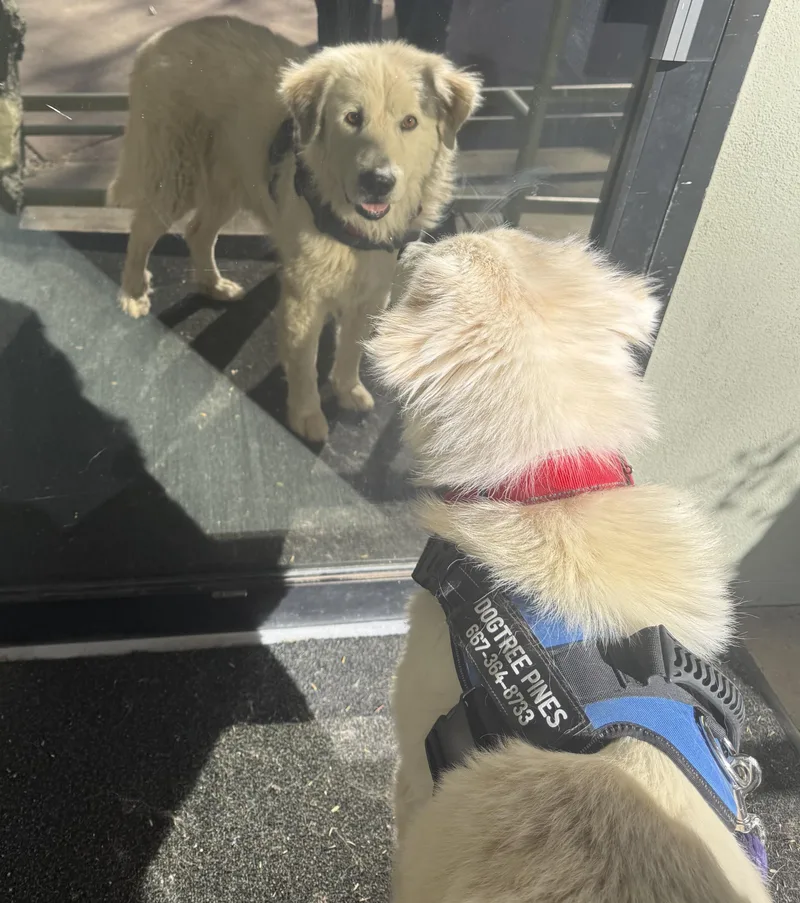 Jane – From Deadline thumbnail 2