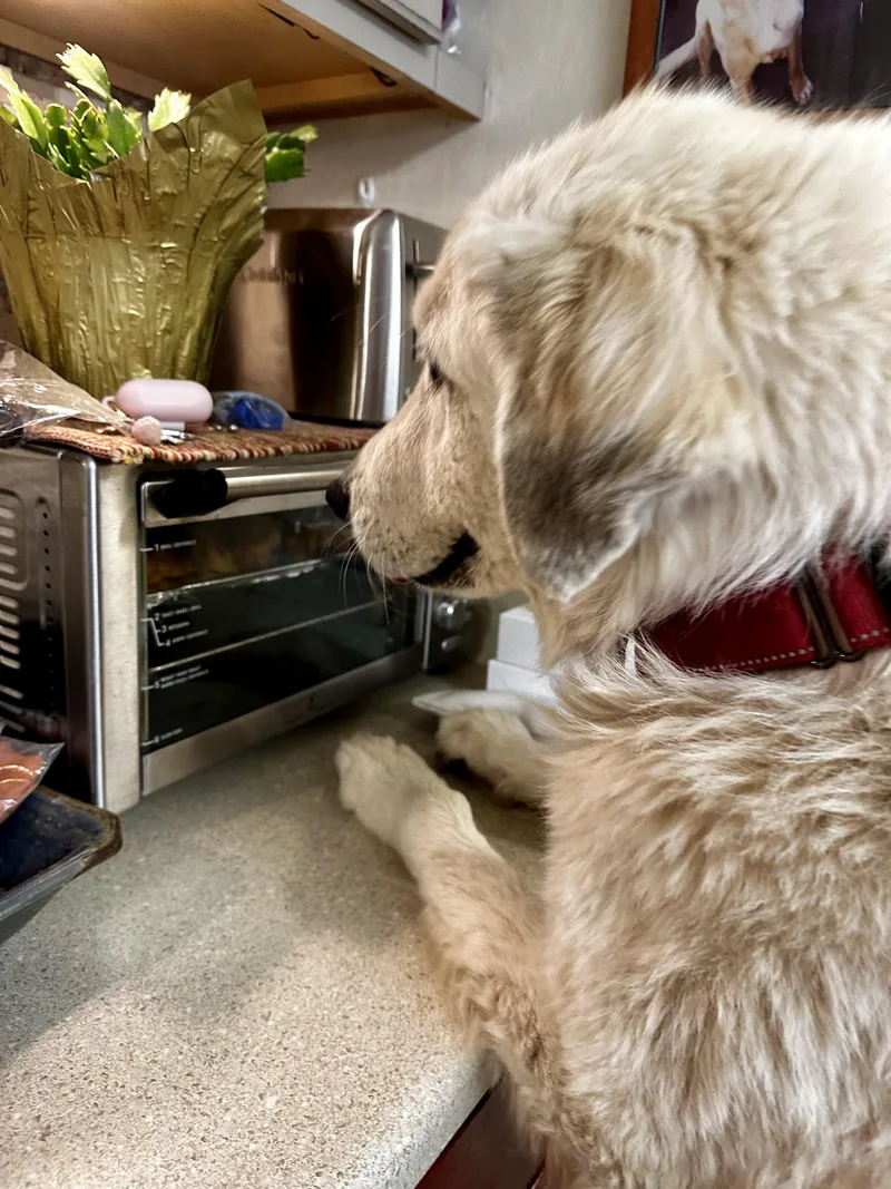 Jane – From Deadline thumbnail 3