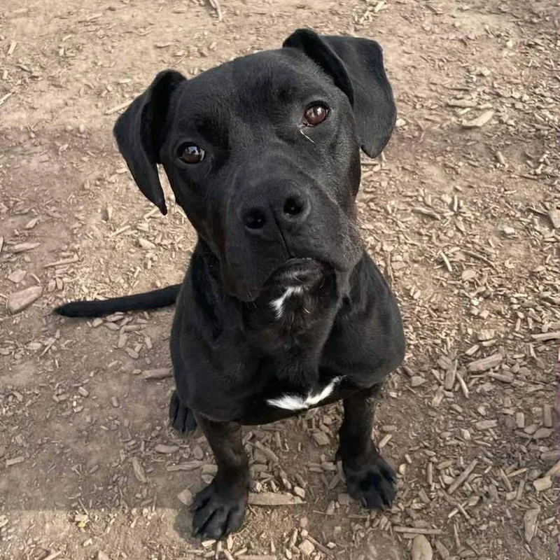 Orvillesponsored Fee! thumbnail 2