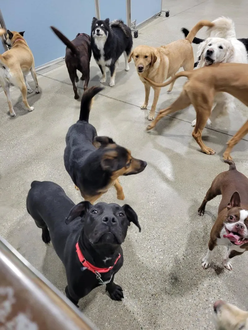 Orvillesponsored Fee! thumbnail 5