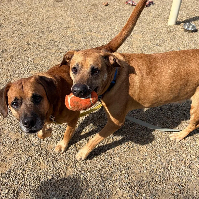 Bruce thumbnail 2