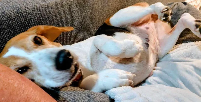 Chloe