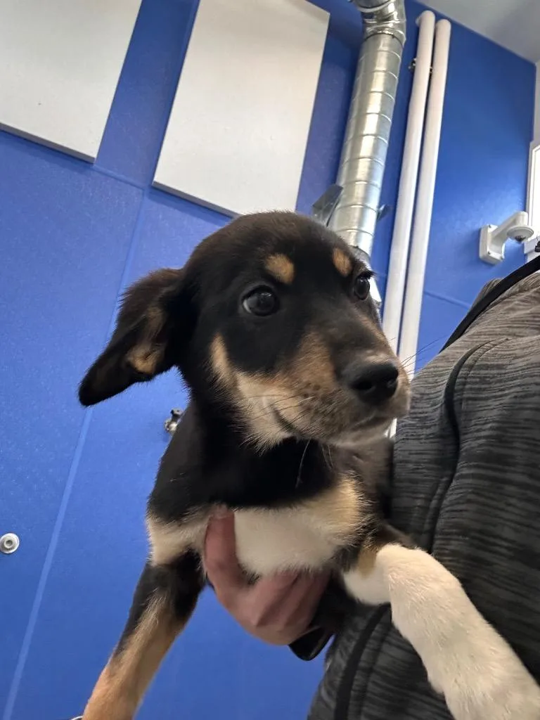 Pour Some Sugar On thumbnail 2