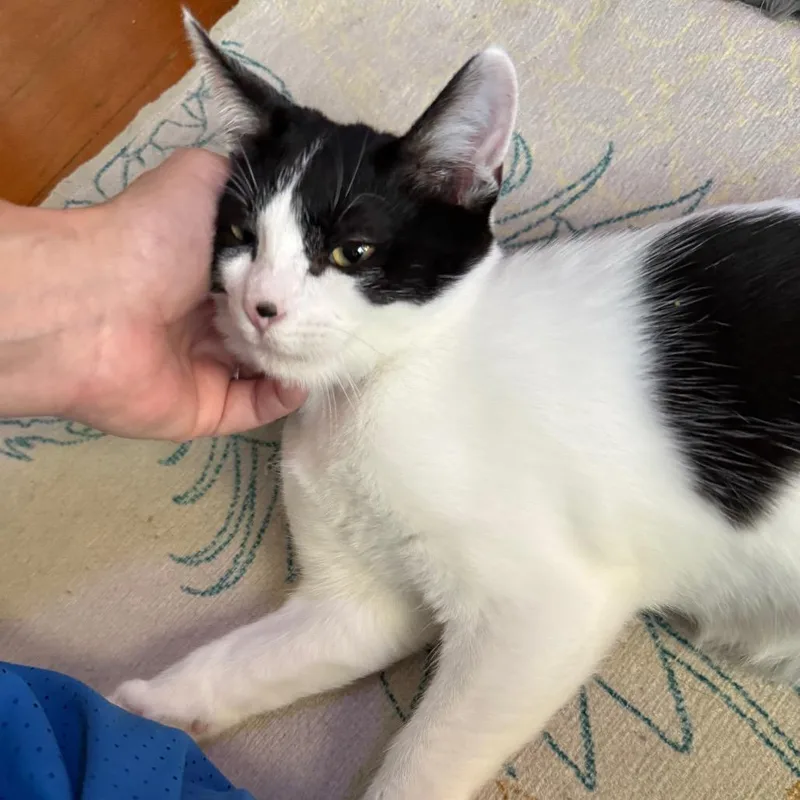 Riverside thumbnail 2