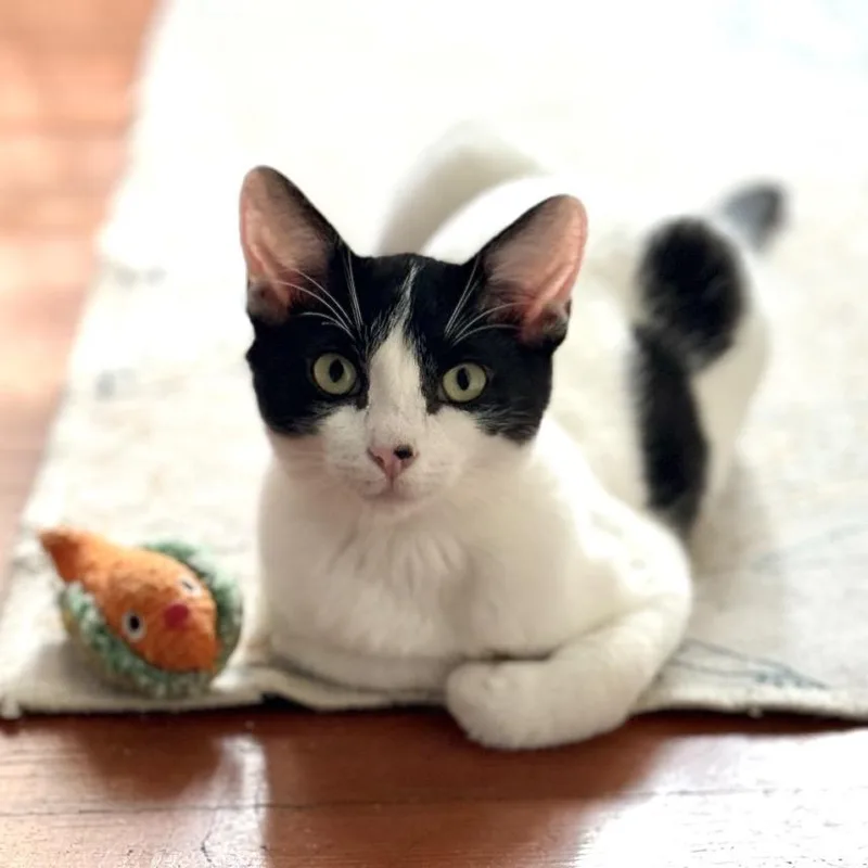 Riverside thumbnail 3