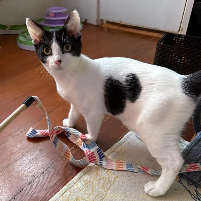 Riverside thumbnail 4