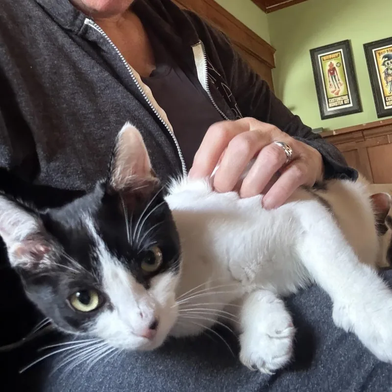 Riverside thumbnail 5