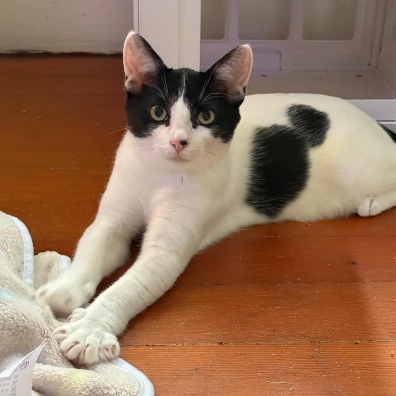 Riverside thumbnail 6