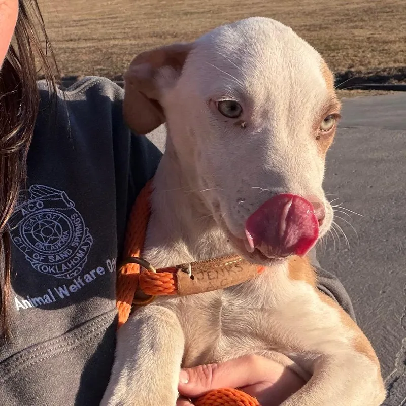 Leonardo thumbnail 5