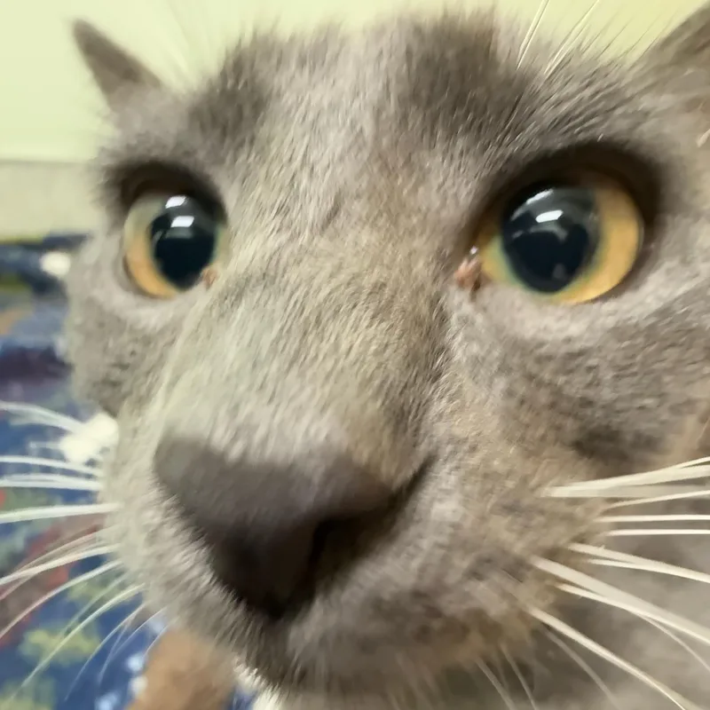 Matilda thumbnail 3