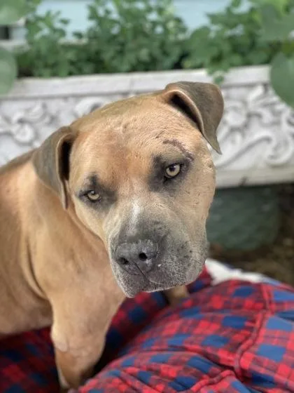 Stromboli thumbnail 2