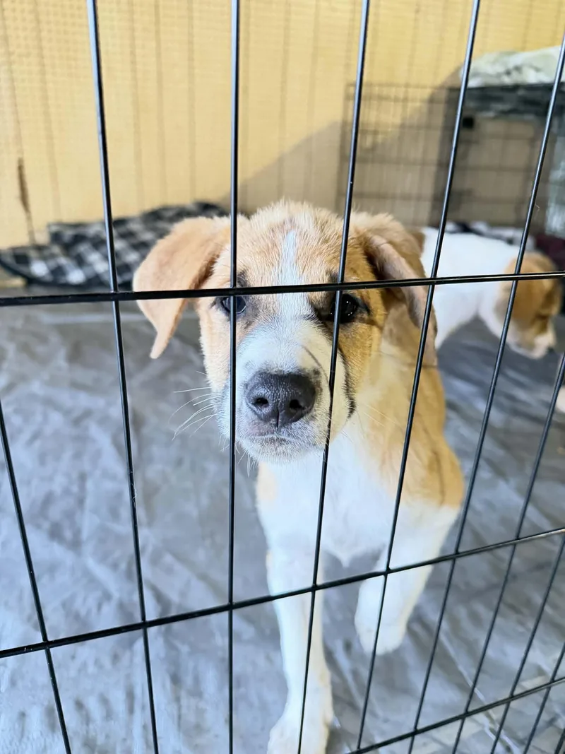 Lightning thumbnail 2