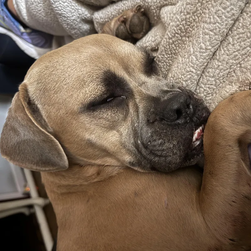 Baby Martini thumbnail 5