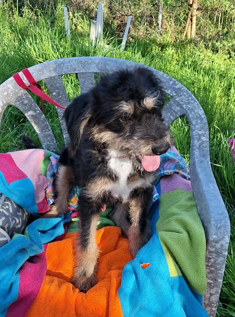 Elazar Mvt thumbnail 2