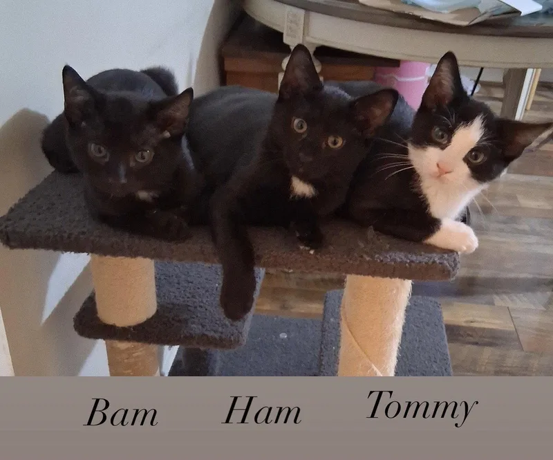 Bambino thumbnail 2