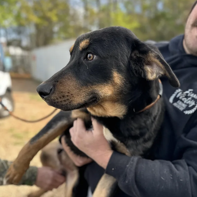 Moe Mentum thumbnail 2