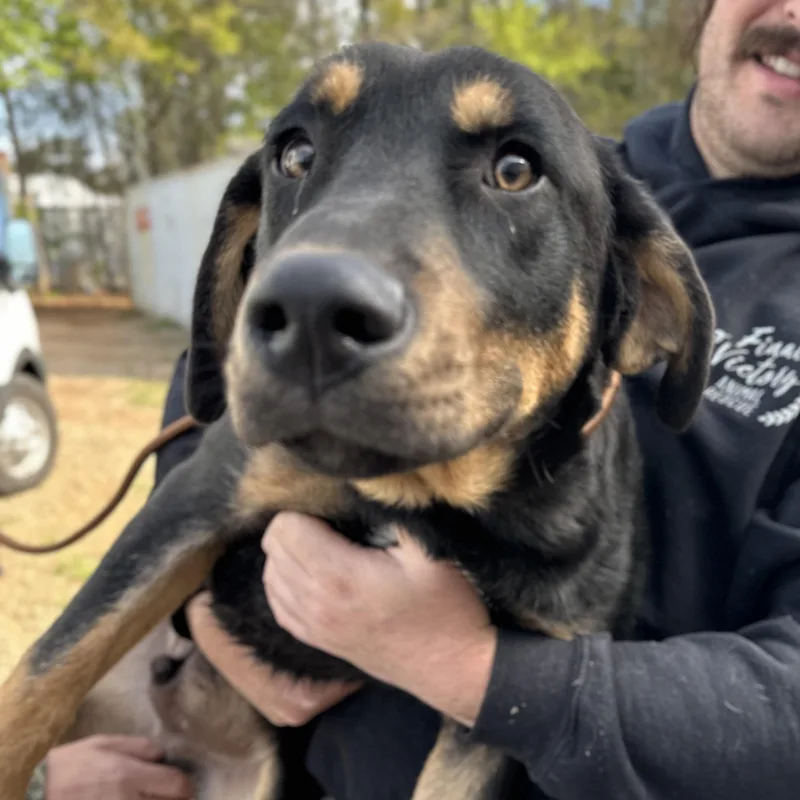 Moe Mentum thumbnail 5