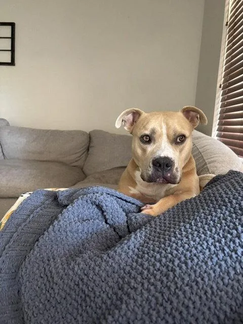 Winston